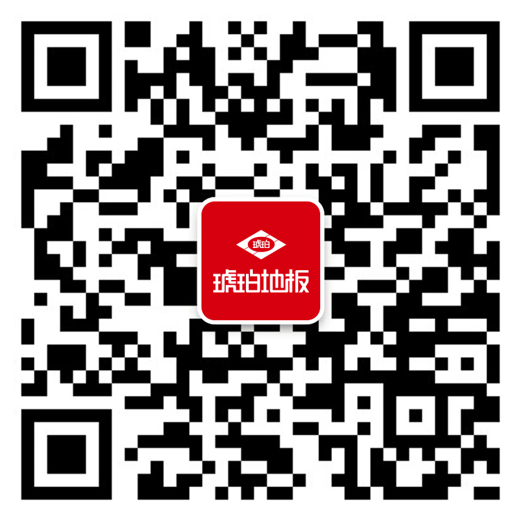關注琥珀
